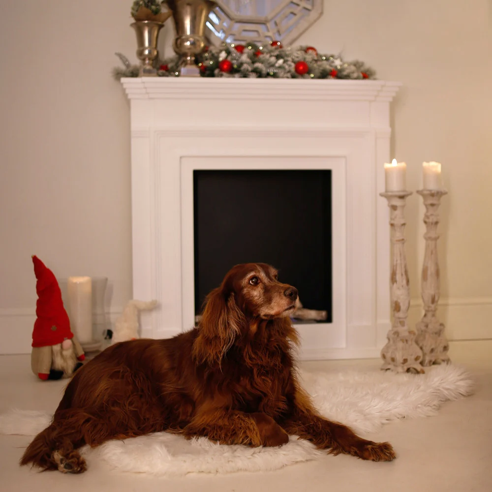 Biokominek portalowy Legionis biały